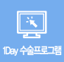 1Day 수술프로그램